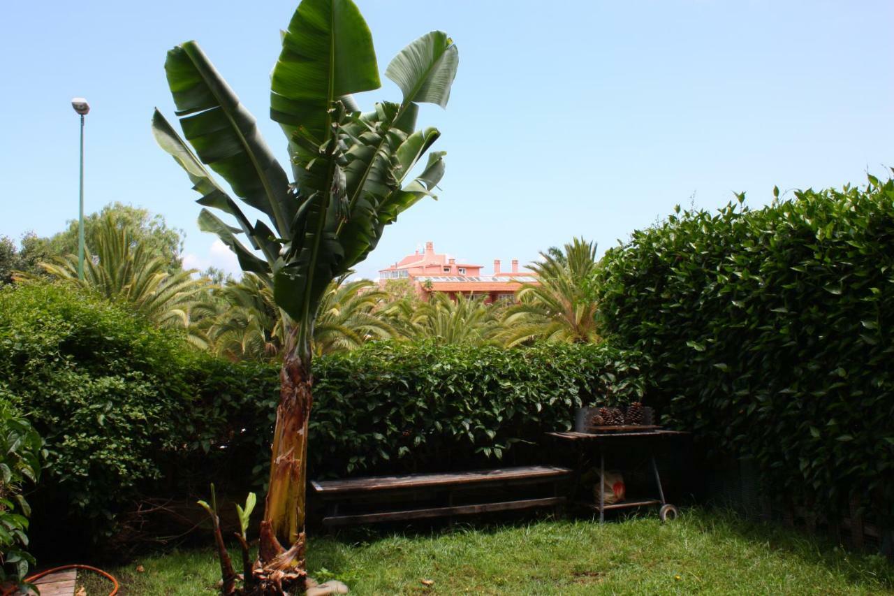 Apartamentos Con Jardin Y Pescina Puerto de la Cruz  Eksteriør bilde
