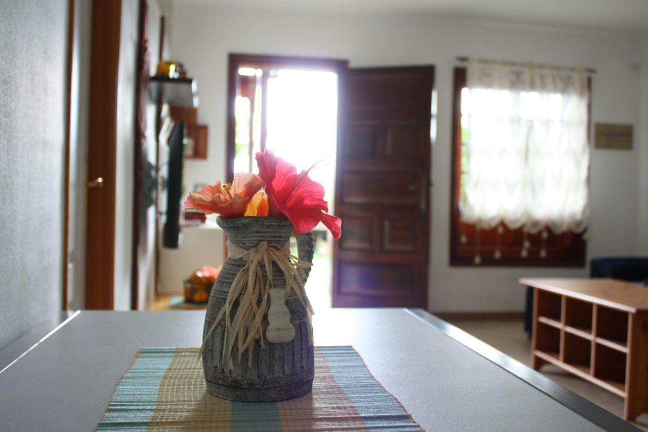 Apartamentos Con Jardin Y Pescina Puerto de la Cruz  Eksteriør bilde